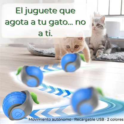 RollSmart — Pelota Automática Inteligente para Gatos